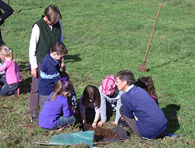 planting