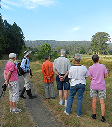 guided tour