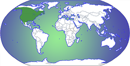 North America on a map of the world