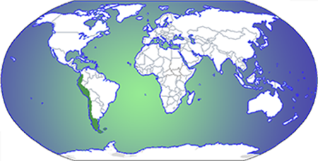 South America on a map of the world