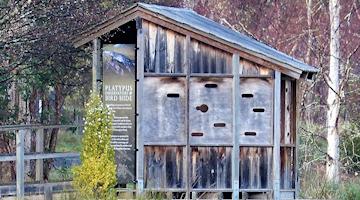 A view of the outside of the bird hide from across Founders Lake.