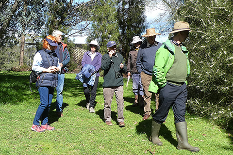 A small group of people is being led through The Tasmanian Arboretum 