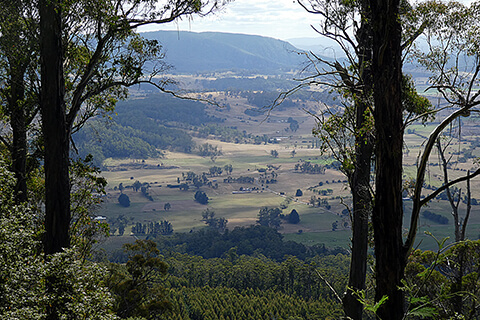 The view from Lofty's Lookout on the Parson's Track, Western Tiers, Tasmania.