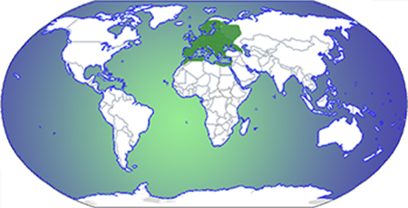 Europe and the mediterranean highlighted on a map of the world
